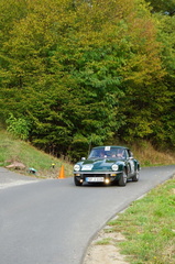 DSC06524